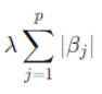 l1 formula part2